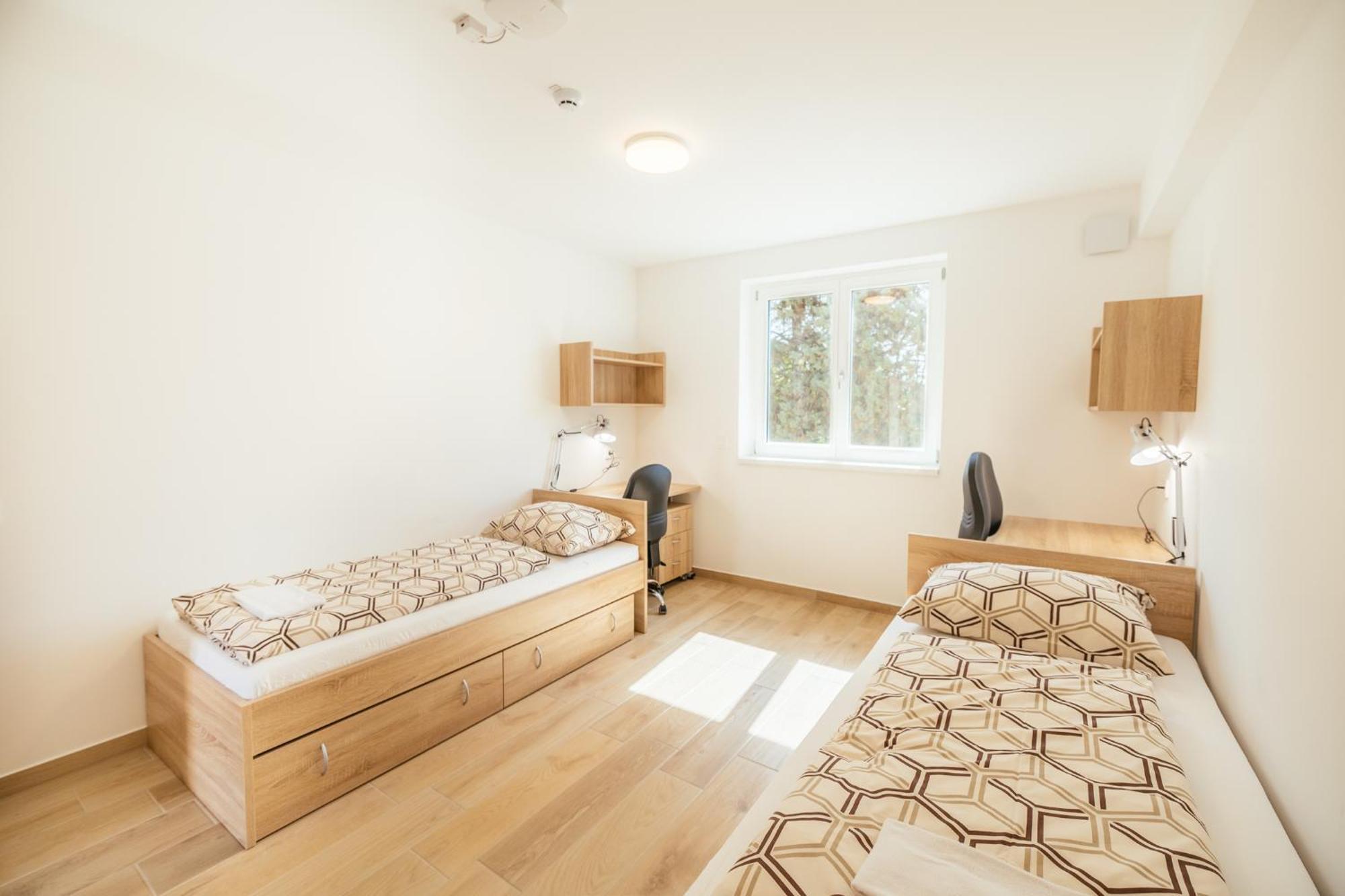 Hostel Prenocisca Prisoje Koper Zewnętrze zdjęcie